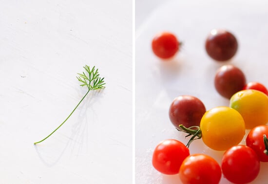 dill and mini heirloom tomatoes