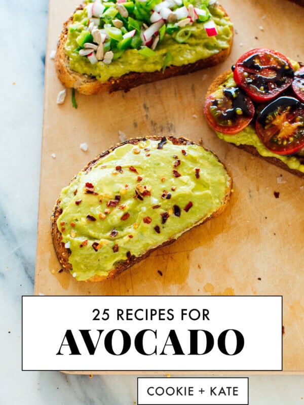 best avocado recipes roundup