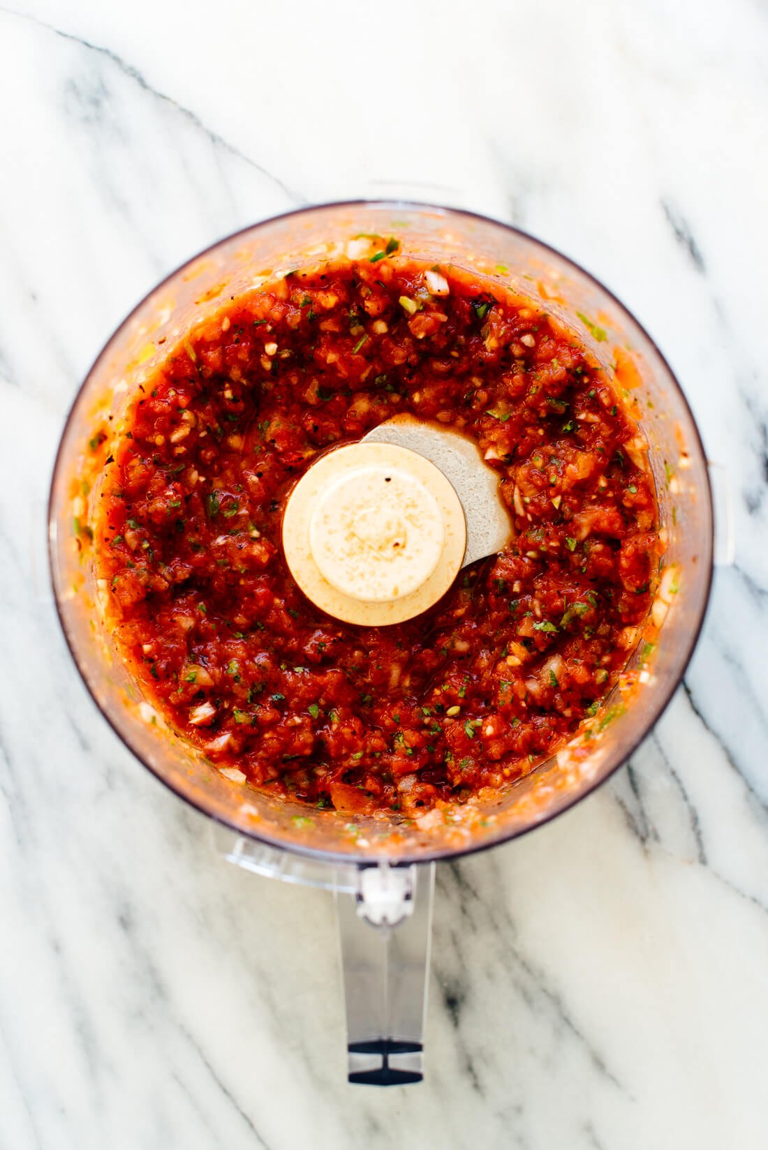 salsa in food processor