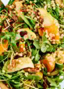 Roasted butternut squash, apple and wheat berry salad recipe